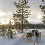 Lapland